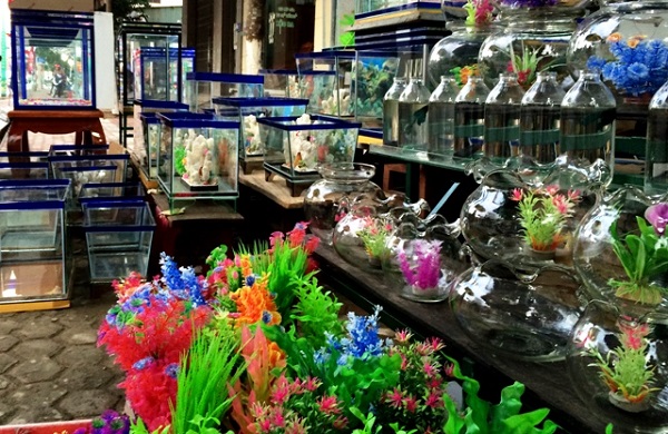 Địa chỉ bán đèn led hồ cá koi, bể cá cảnh giá rẻ tại Hà Nội và TP Hồ Chí Minh